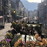 شقة Le Royale W Balcony آنسي